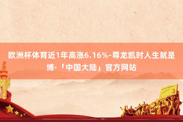 欧洲杯体育近1年高涨6.16%-尊龙凯时人生就是博·「中国大陆」官方网站