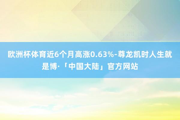 欧洲杯体育近6个月高涨0.63%-尊龙凯时人生就是博·「中国大陆」官方网站