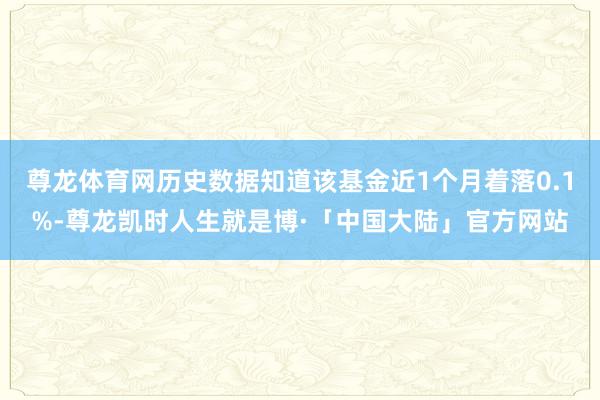 尊龙体育网历史数据知道该基金近1个月着落0.1%-尊龙凯时人生就是博·「中国大陆」官方网站