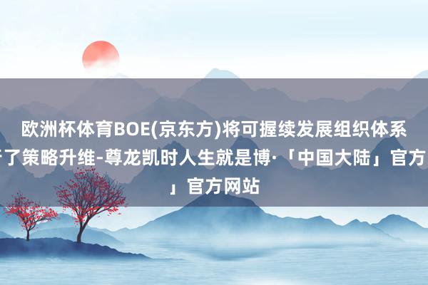 欧洲杯体育BOE(京东方)将可握续发展组织体系进行了策略升维-尊龙凯时人生就是博·「中国大陆」官方网站