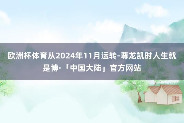 欧洲杯体育从2024年11月运转-尊龙凯时人生就是博·「中国大陆」官方网站