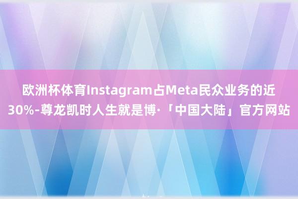 欧洲杯体育Instagram占Meta民众业务的近30%-尊龙凯时人生就是博·「中国大陆」官方网站