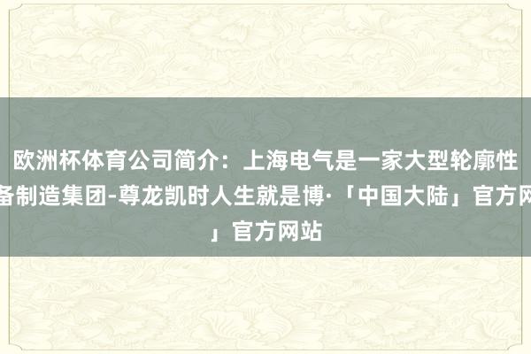 欧洲杯体育公司简介：上海电气是一家大型轮廓性装备制造集团-尊龙凯时人生就是博·「中国大陆」官方网站